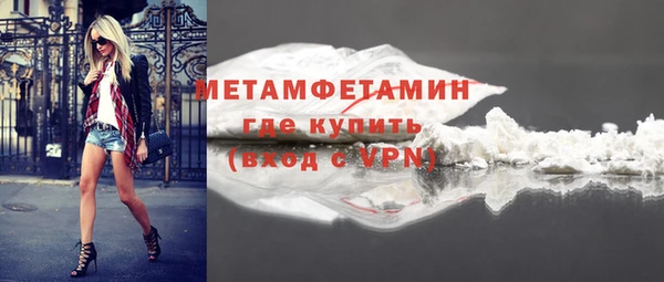 трава Корсаков