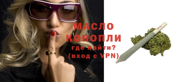 гидра Кодинск