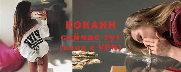 прущие грибы Кинешма