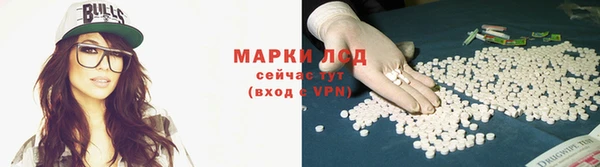гидра Кодинск