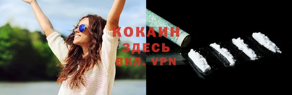 гидра Кодинск