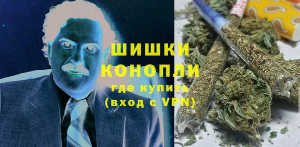 прущие грибы Кинешма