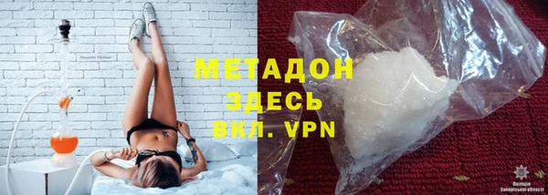 трава Корсаков