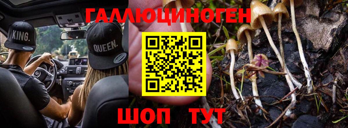 где найти   Псилоцибиновые грибы ЛСД  Вход с VPN  Борисоглебск  Псилоцибиновые грибы GOLDEN TEACHER 
